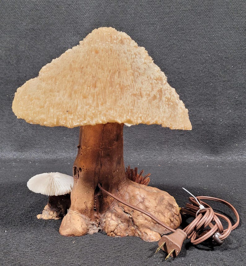 May include: A whimsical mushroom-shaped lamp with a textured, light beige cap and a brown, tree-like stem. A smaller white mushroom is at the base. The lamp has a brown power cord and plug, perfect for adding a touch of nature-inspired decor.
