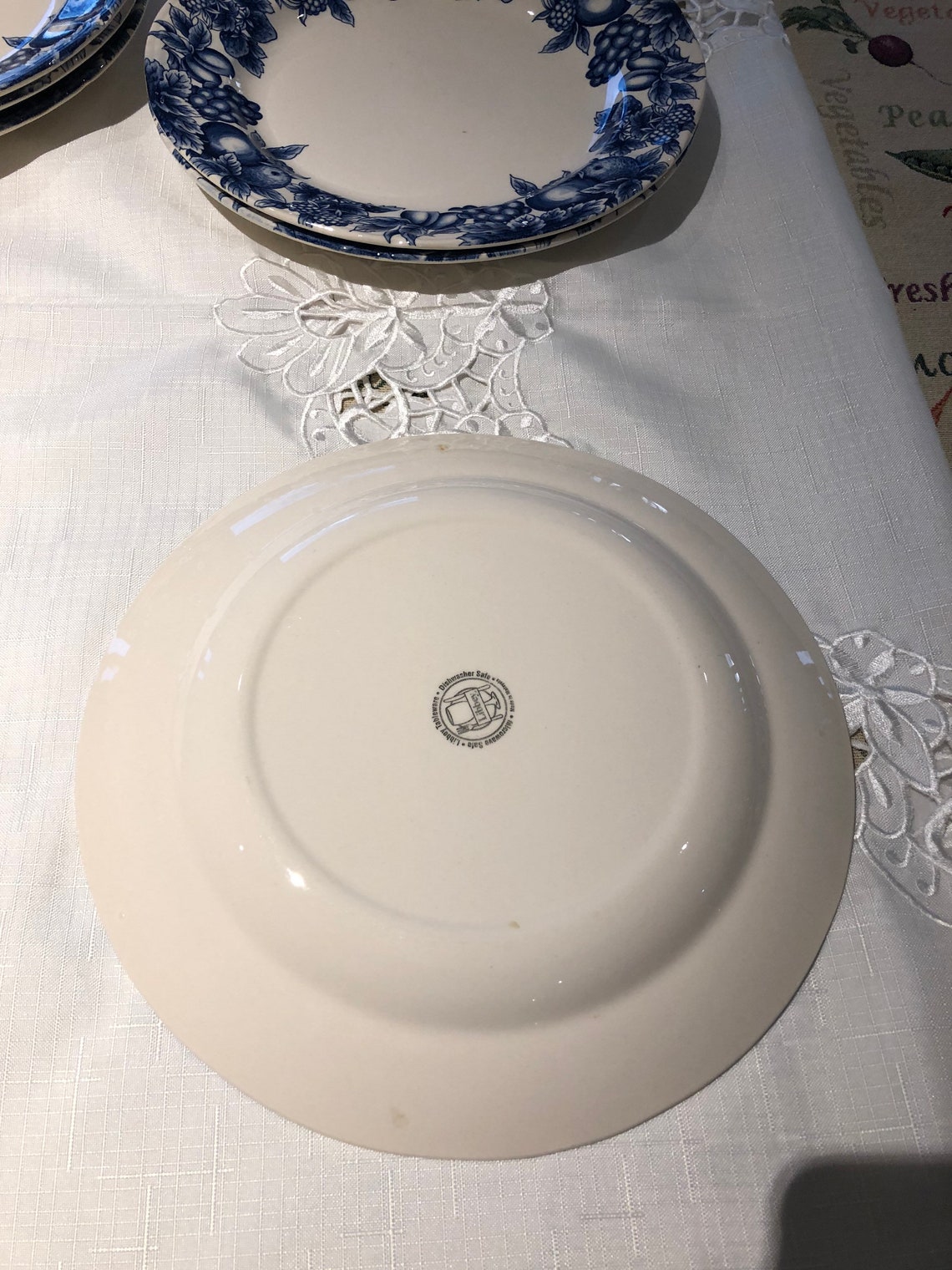 Libbey Tableware Chi Lie7 Fruits and Berries White and Blue . Etsy