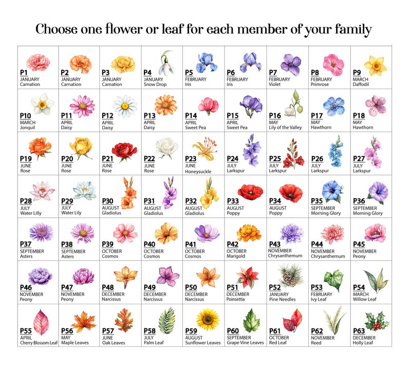 May include: A chart featuring watercolor illustrations of various flowers and leaves, each labeled with a month and a corresponding name. The text at the top reads, "Choose one flower or leaf for each member of your family."