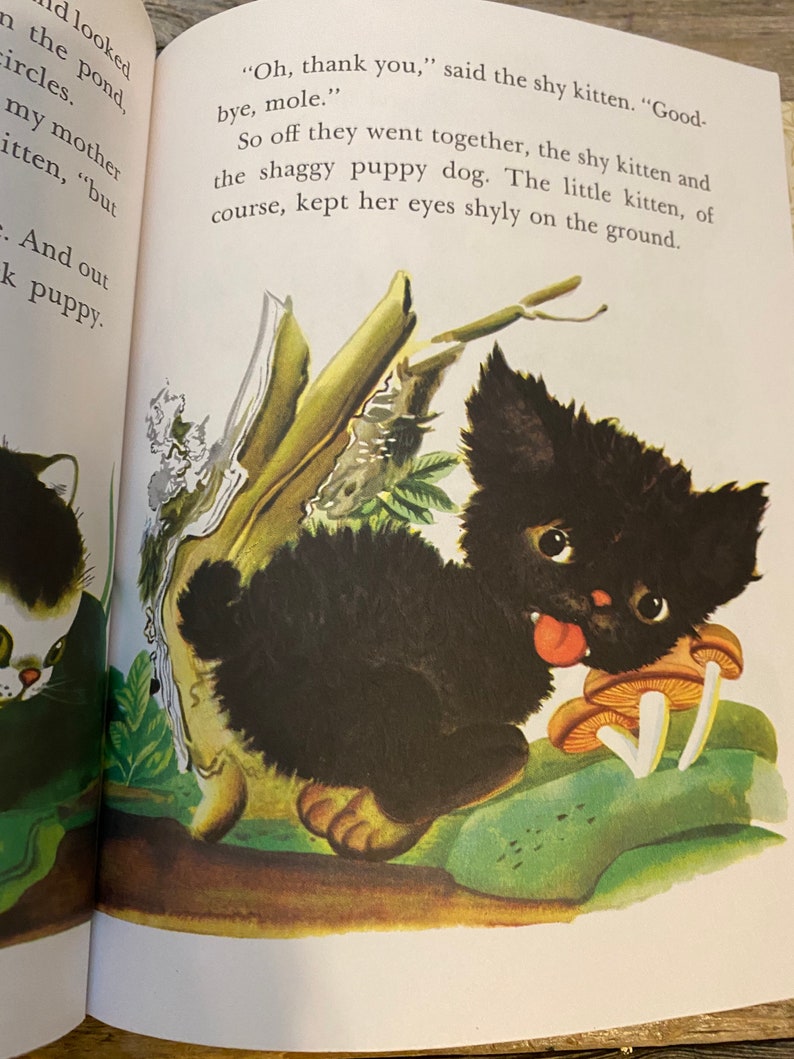 The Shy Little Kitten Little Golden Book | Etsy