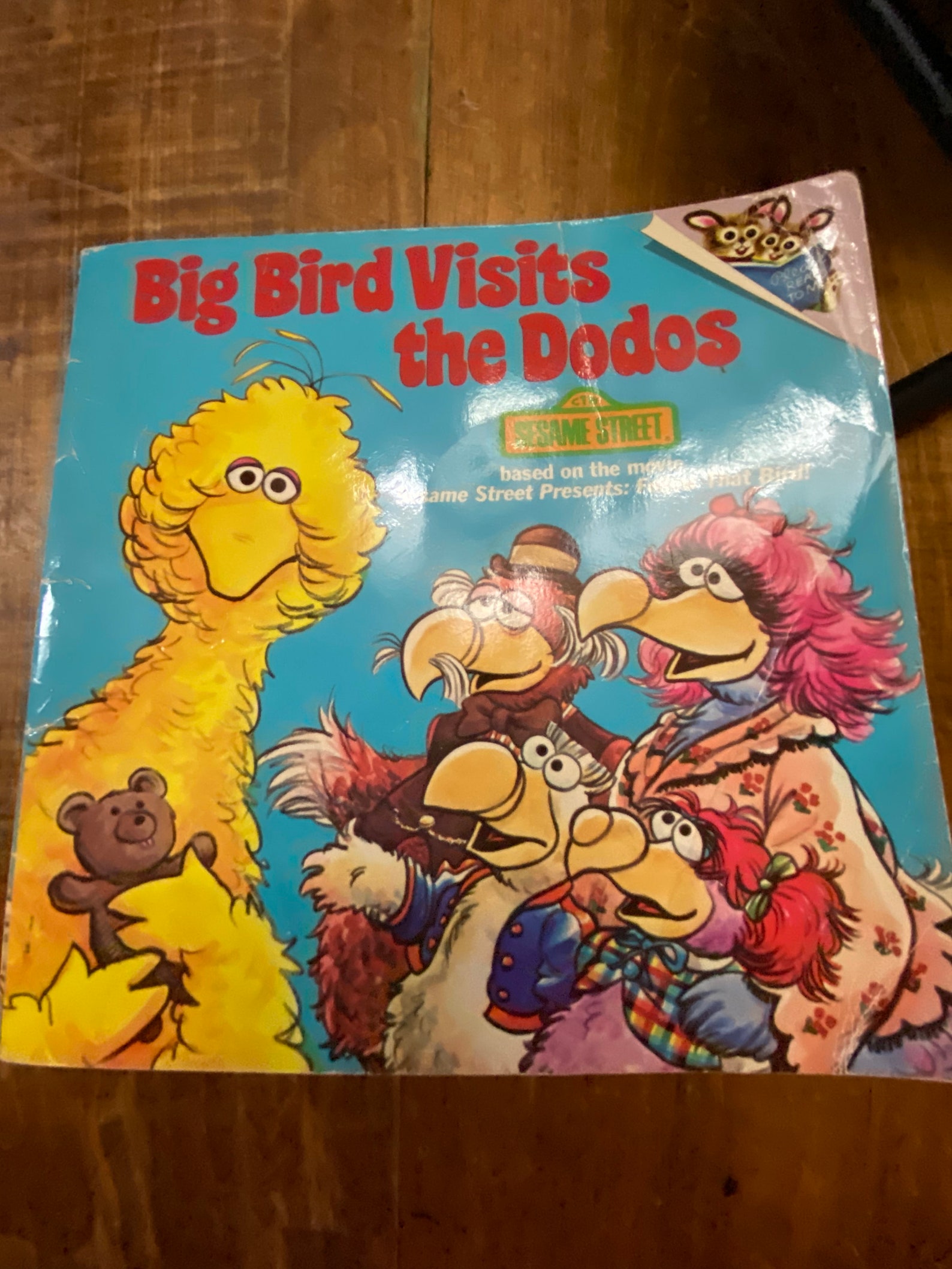 Big Bird Visits the Dodods Etsy