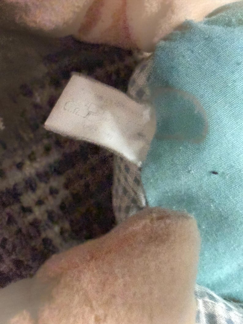 May include: Close-up of a plush toy with a tag. The toy has a light blue fabric and a beige, textured surface. The tag is white with faded text.