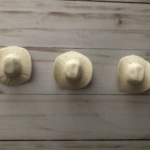 Pack of 6 Cowboy Mexican Sombrero Mini Hat Size Wedding Party Favor