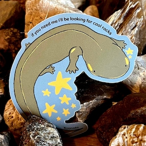 Peut inclure: Un autocollant découpé représentant une salamandre vert olive clair sur un fond bleu clair avec des étoiles jaunes. Le texte indique "if you need me I'll be looking for cool rocks" et "@cozyfoodco". L'autocollant est posé parmi des pierres naturelles.
