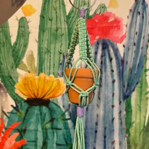 mini car plant hangers