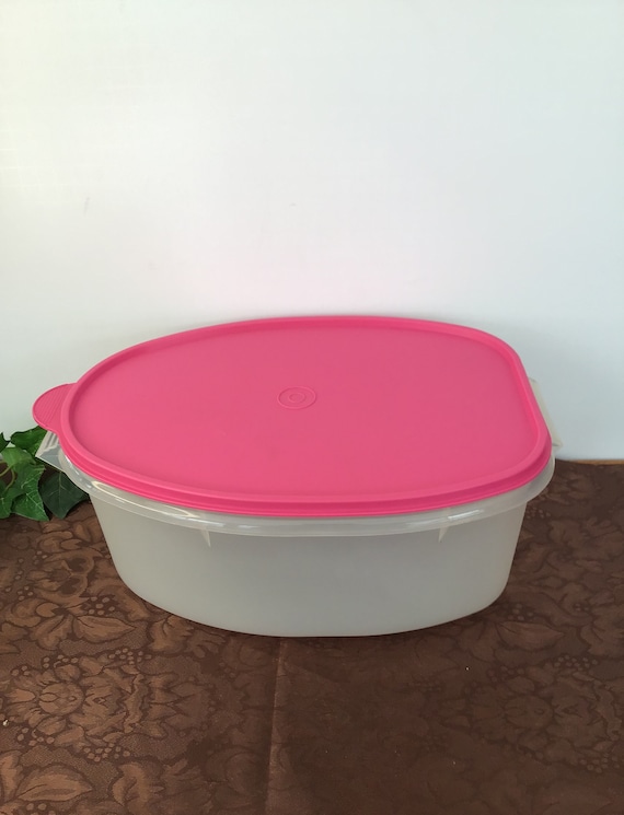 Vintage Tupperware Rôti/Jambon/Dinde Saveur Saveur 487 Avec Couvercle 488  Sans Insert -  Canada