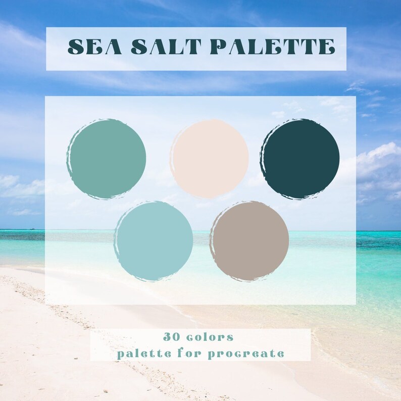 Sea Salt Color Palette Color Palettes Procreate Color Etsy India