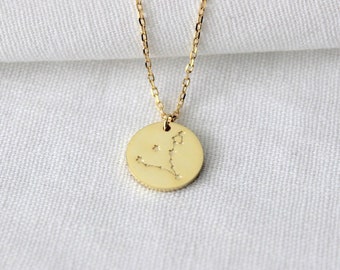 Sterling Silber Gold Halskette, Sternzeichen Halskette, Sternzeichen Sternzeichen Charm Halskette, Sternzeichen Halskette, Münze Halskette, Layering Halskette