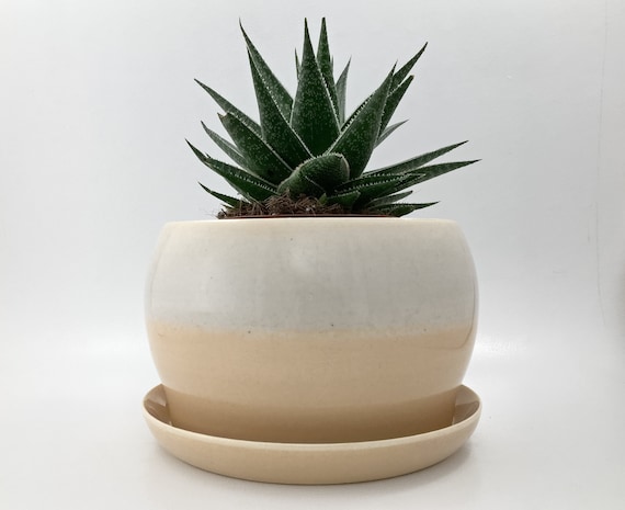 Self Watering Planter  7 Inch  Resin Glazed Finish