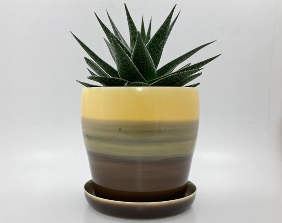 Self Watering Planter 5-1/2 Inch Resin Glazed Finish