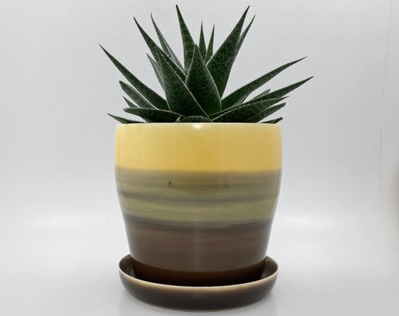 Self Watering Planter  5-1/2 Inch  Resin Glazed Finish