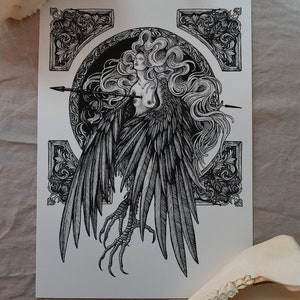 Harpy