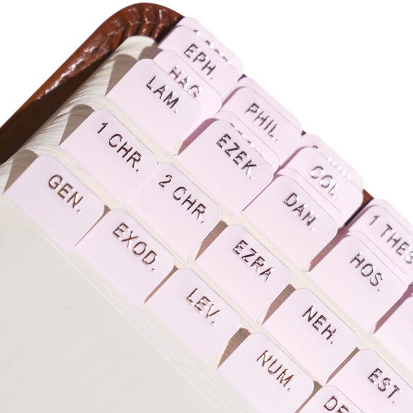 Mini Blushing Pink Gold Foil Bible Tabs - Embossed - Standard & Catholic/Apocrypha Tabs - Bible Journaling - Self-Adhesive - Laminated