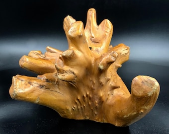 Vintage Root Wood Sculpture, Natural Cypress Knee, Root Base for Mounting Art