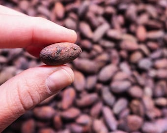 roasted cocoa beans | cocoa snack | sugar free chocolate | sugar free snack | vegan chocolate