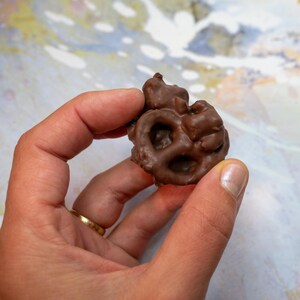 Handmade Chocolate Bark: Pretzels and Caramelized Pecan, Vegan