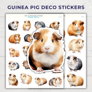 Pegatinas de conejillo de indias, pegatinas de roedores, regalo amante del conejillo de indias, pegatinas deco, amante de las mascotas, cavy