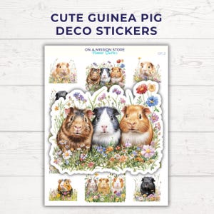 Stickers cochon d'Inde, Stickers rongeur, Cadeau pour amateur de cochon d'Inde, Prairie de fleurs sauvages, Stickers déco, amoureux des animaux de compagnie, Cavy