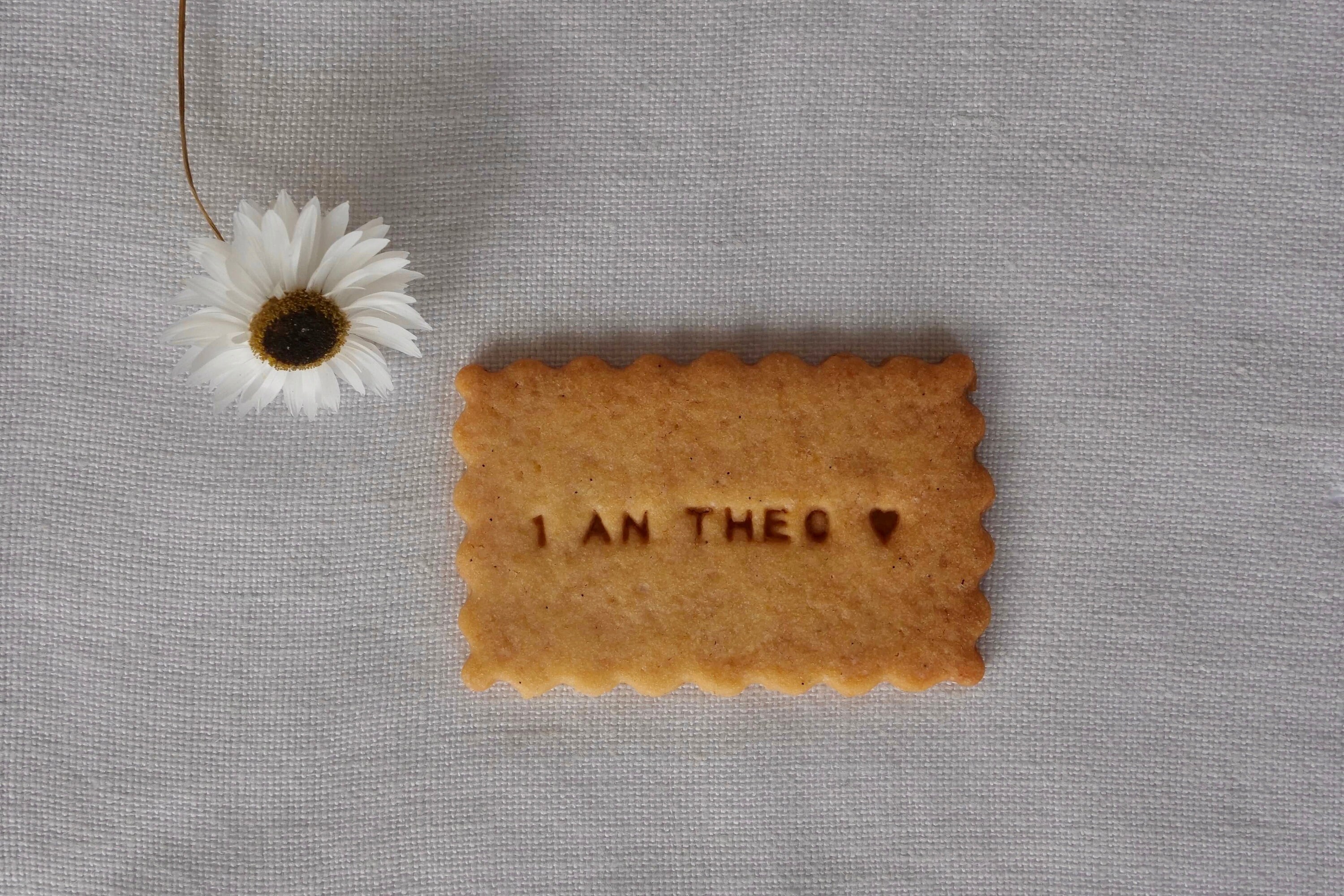 Lot de 10 Biscuits Personnalisés 1Er Anniversaire