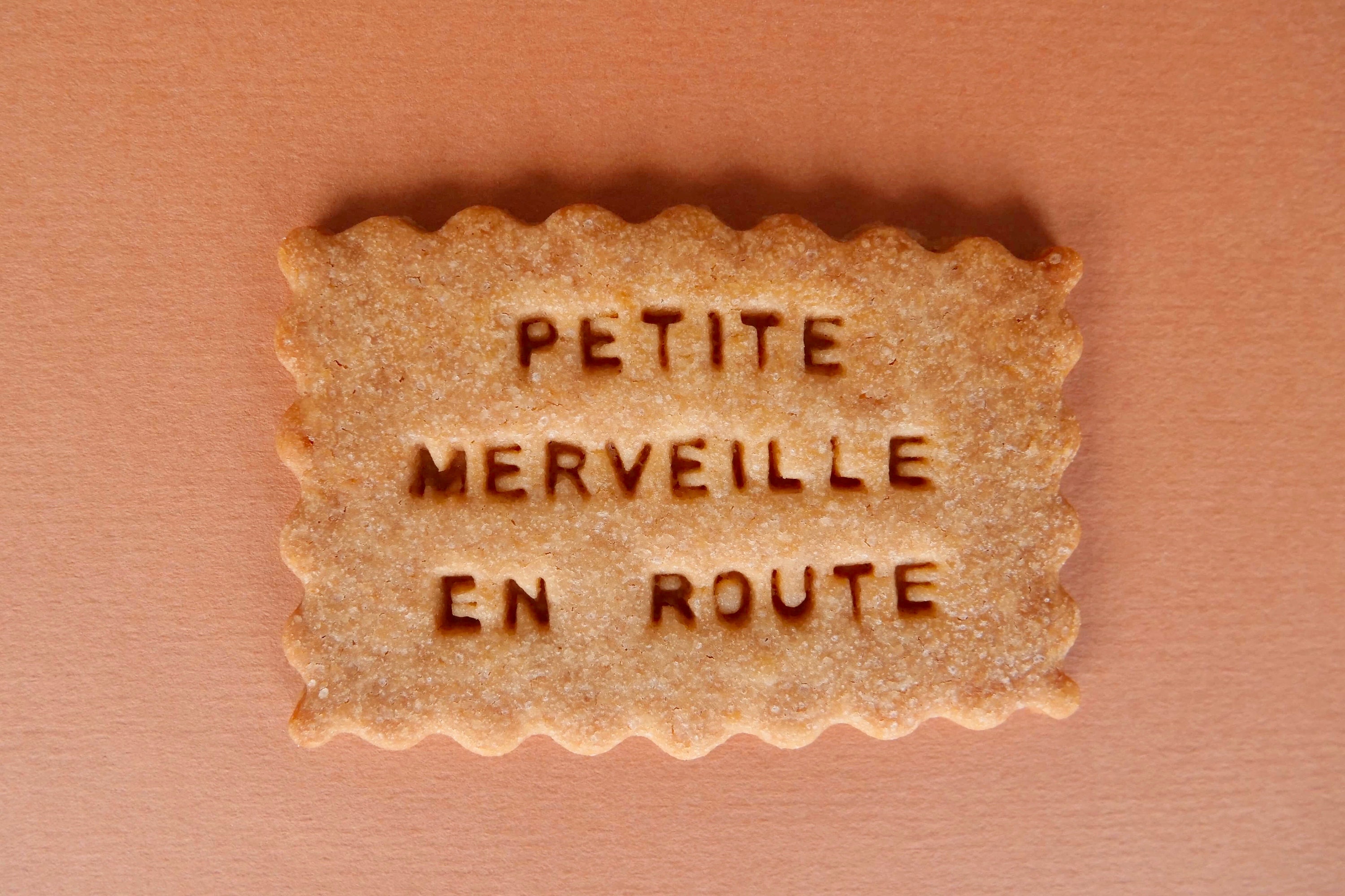 Lot de 10 Biscuits Personnalisés Annonce Grossesse