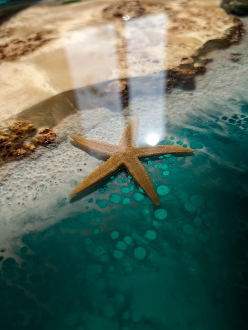 Resin Ocean Wave Coffee Table, Round Epoxy Wood Coffee Table, Live Edge