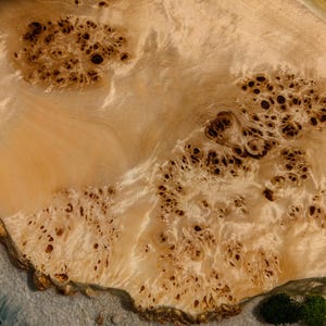 May include: Close-up of a light brown wood slice with a unique burl pattern. The wood has a natural, organic texture with a variety of brown and beige tones.