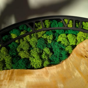 Pu&ograve; includere: Primo piano di un elemento decorativo con una cornice nera ad arco su muschio verde vibrante. Il muschio &egrave; stratificato con diverse tonalit&agrave; di verde. La base &egrave; in legno chiaro con venature naturali.
