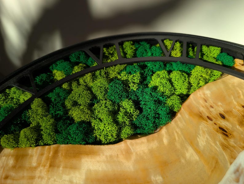 Pu&ograve; includere: Primo piano di un elemento decorativo con una cornice nera ad arco su muschio verde vibrante. Il muschio &egrave; stratificato con diverse tonalit&agrave; di verde. La base &egrave; in legno chiaro con venature naturali.