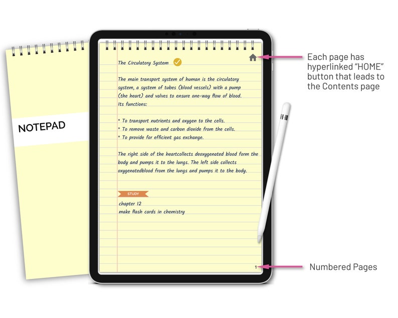 Puede incluir: Un bloc de notas de l&iacute;neas amarillas con el texto "NOTEPAD" en la parte superior. La p&aacute;gina est&aacute; abierta a una nota escrita a mano sobre el sistema circulatorio. La nota incluye una marca de verificaci&oacute;n, un icono de casa y el texto "STUDY, chapter 12, make flash cards in chemistry".