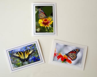 Butterfly Photography Note Card Set, Frameable Floral Greeting Card