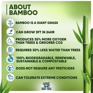 Bamboo Dental Floss Picks 20CT Reusable Bamboo Picks Plastic-free ...