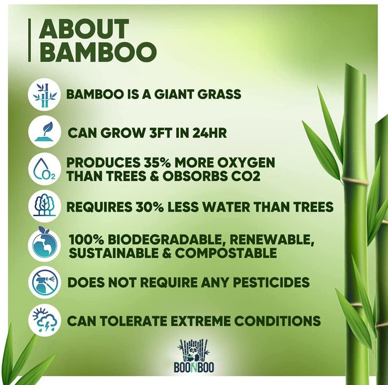 Bamboo Dental Floss Picks 20CT Reusable Bamboo Picks - Etsy