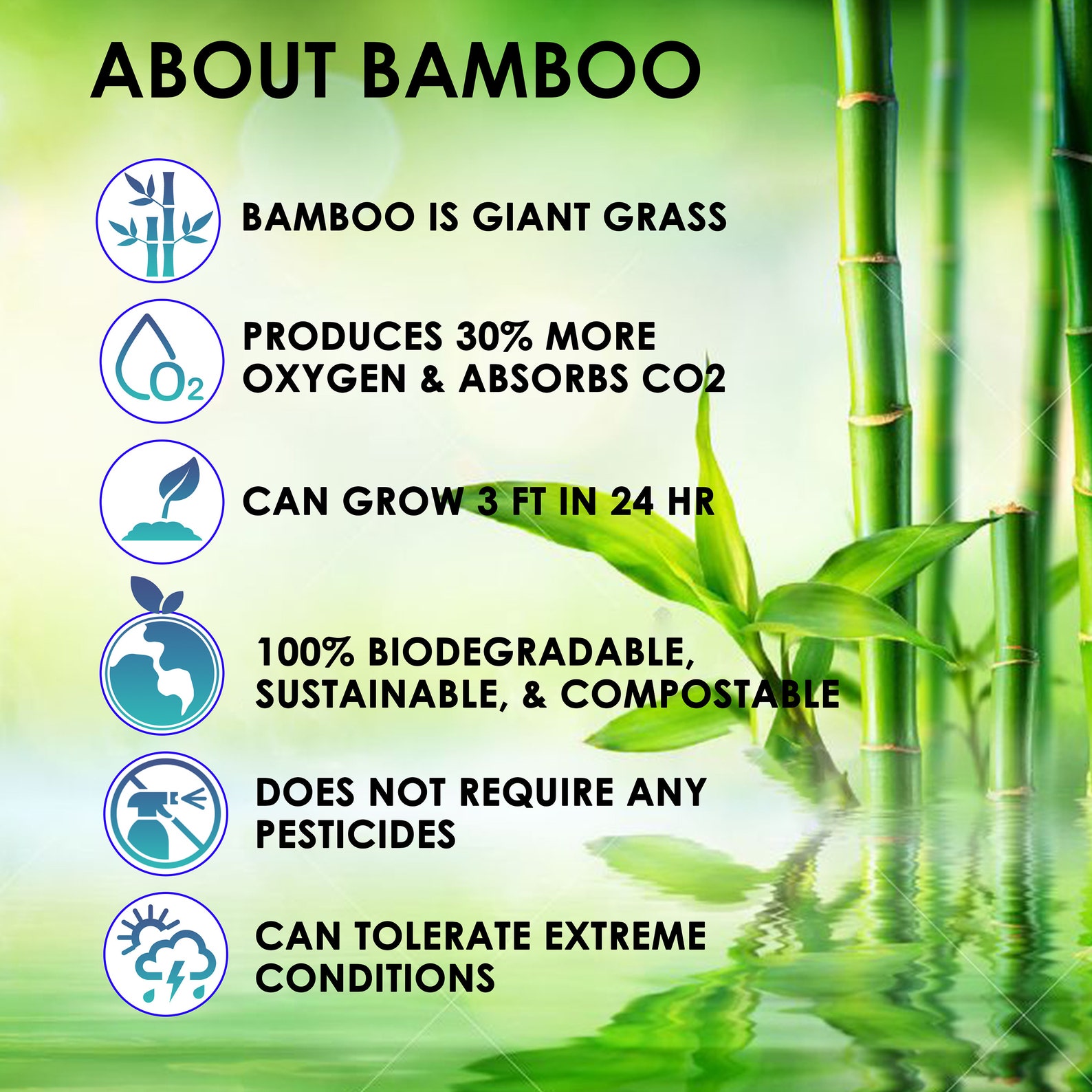 Bamboo Dental Floss Picks 20CT Reusable Bamboo Picks | Etsy