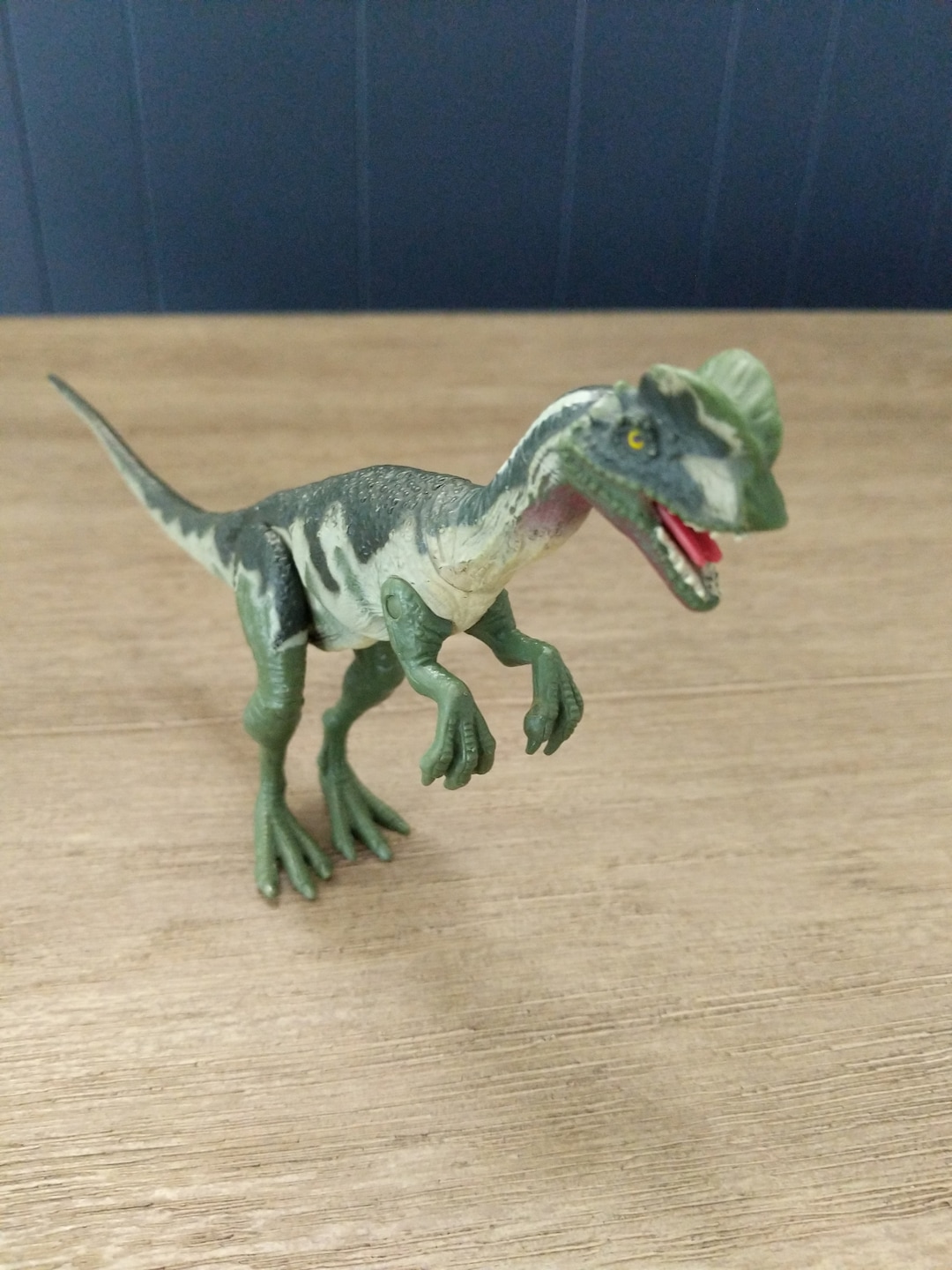 邦楽 HINOTORI Day2 Whole Lotta Dinosaur il_1080xN.2453133120_d96n.jpg