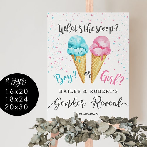 Ice Cream Scoop Gender Reveal Baby Electronic Shower Party Etsy
