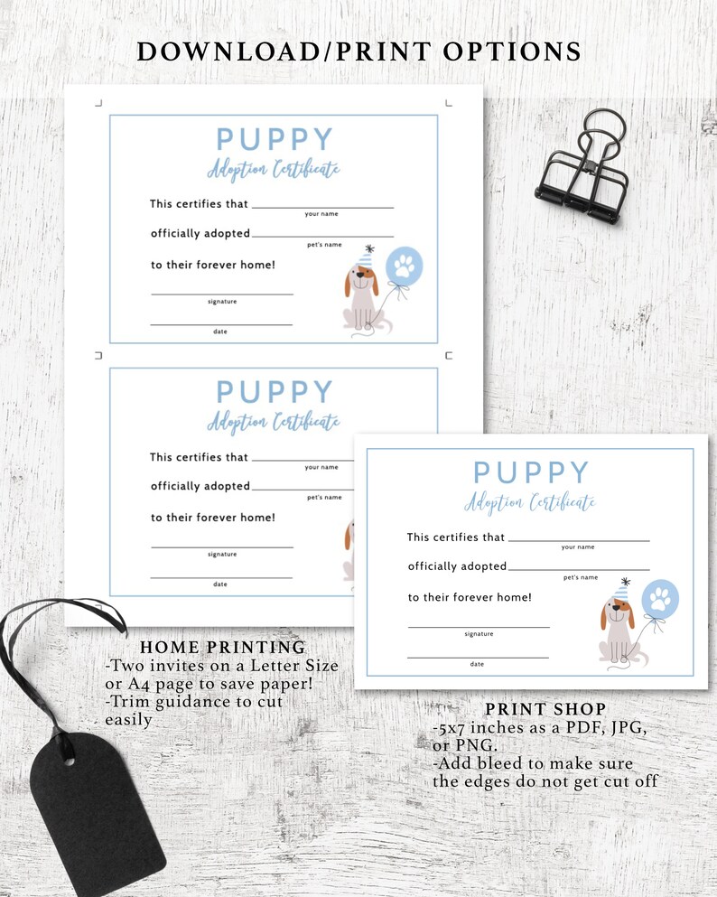 May include: Printable puppy adoption certificate with a blue and white color scheme. The certificate features a cartoon puppy wearing a party hat and holding a balloon. The text on the certificate reads "Puppy Adoption Certificate".
