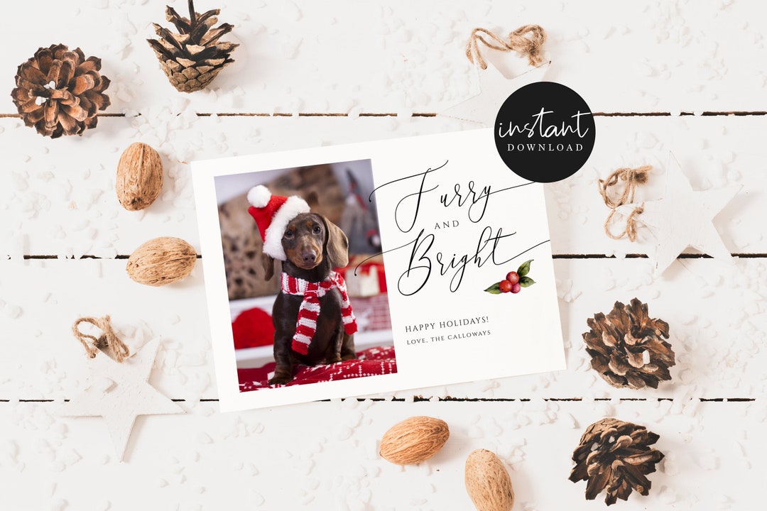 Pet Photo Christmas Card | Furry and Bright | Editable Template ...