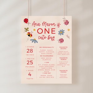 Marienkäfer Geburtstag Meilensteintafel | Mädchen Geburtstag Poster | Insekt | Sofortdownload | Bearbeitbar | Schablone 8x10, 16X20, 18X24, 20x30 L08
