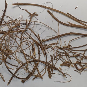 Devil&#39;s Shoestring Root