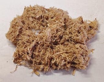 Stillingia Root Large Cut