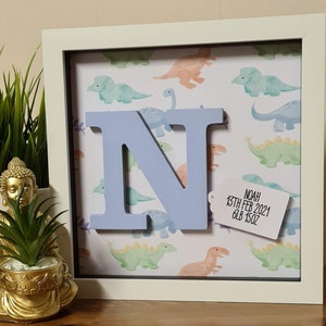 Decorated Large Letter Baby Announcement Frame