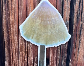May include: A light brown mushroom sticker with a white outline, attached to a wooden surface.