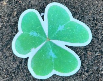 May include: A four-leaf clover with a white outline, on a dark brown background.