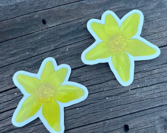 May include: Two yellow flower stickers on a wooden surface. The flowers have five petals and a yellow center.