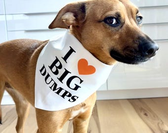 May include: A brown dog wearing a white bandana with the text "I ❤️ BIG DUMPS" in black letters and an orange heart. The dog is standing indoors with a wooden floor and white cabinets in the background.