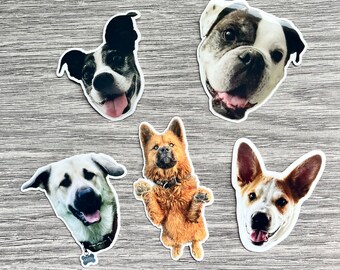 May include: Five different dog breed stickers, each featuring a close-up of the dog's face. The stickers are printed on white paper and have a glossy finish.