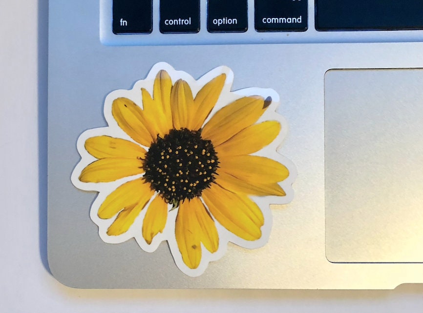 Oregon Black Eyed Susan Sticker - Etsy