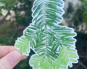 May include: A green sticker featuring a detailed illustration of a conifer branch with multiple needles.