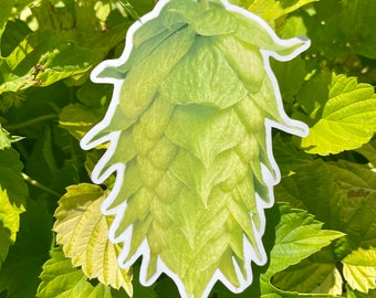 May include: A close-up of a green hop cone, a key ingredient in beer brewing. The cone is surrounded by green leaves.