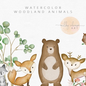 Clipart aquarelle, clipart animaux de la forêt, clipart animaux de la forêt, aquarelles pour chambre d'enfants, renard, cerf, ours, hibou, raton laveur MC 005